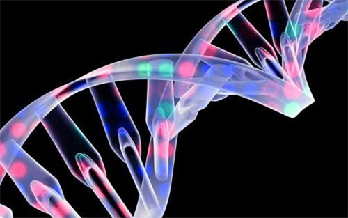 生物相容性是什么意思？怎么判斷醫(yī)療器械要做哪些生物相容性測試項(xiàng)目？(圖1)